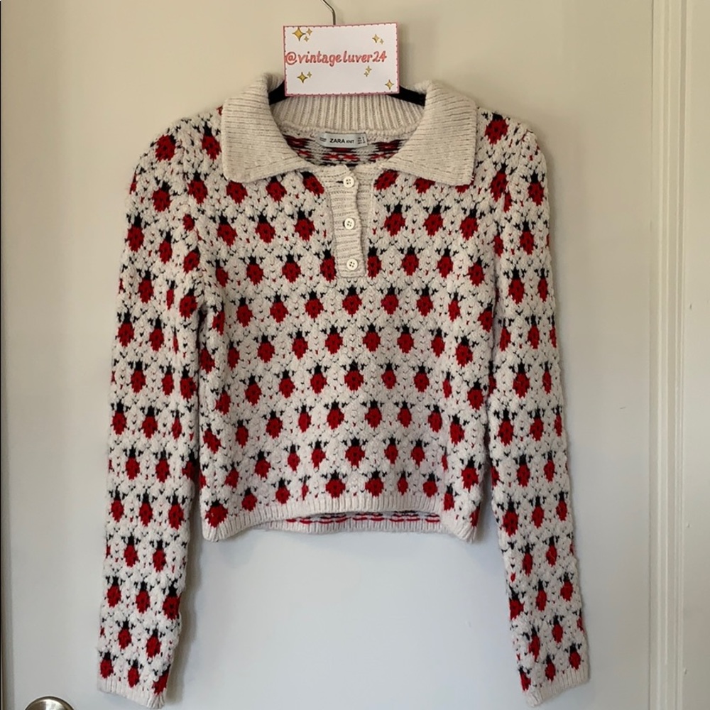 ✨ Zara Ladybug Print Sweater ✨
